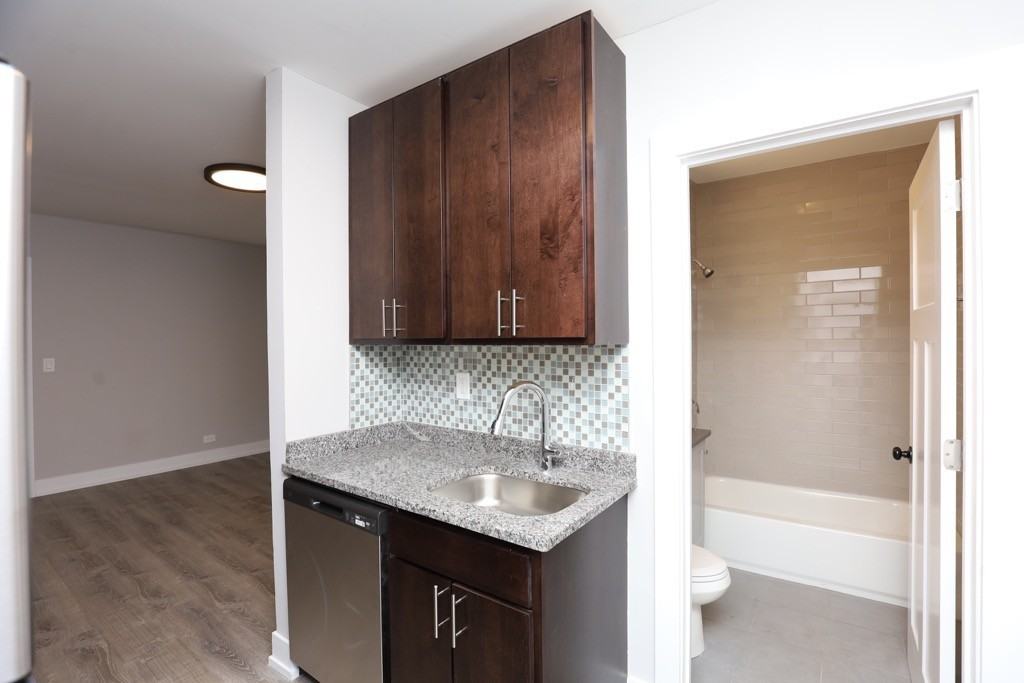 817A W Cornelia Ave #307 - Photo 6 of 18