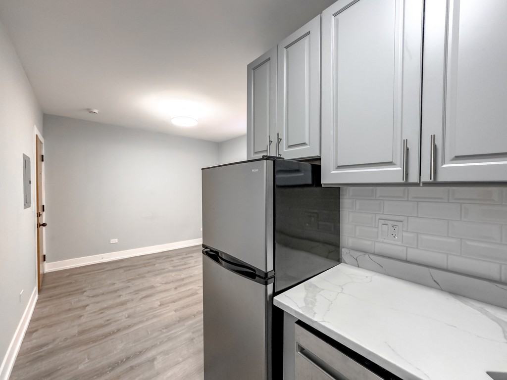 505 W Belmont Ave #3J - Photo 3 of 21