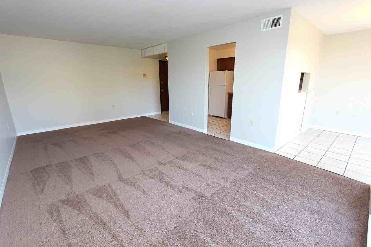 WAVERLY APARTMENTS -- 002 - Photo 4 of 19