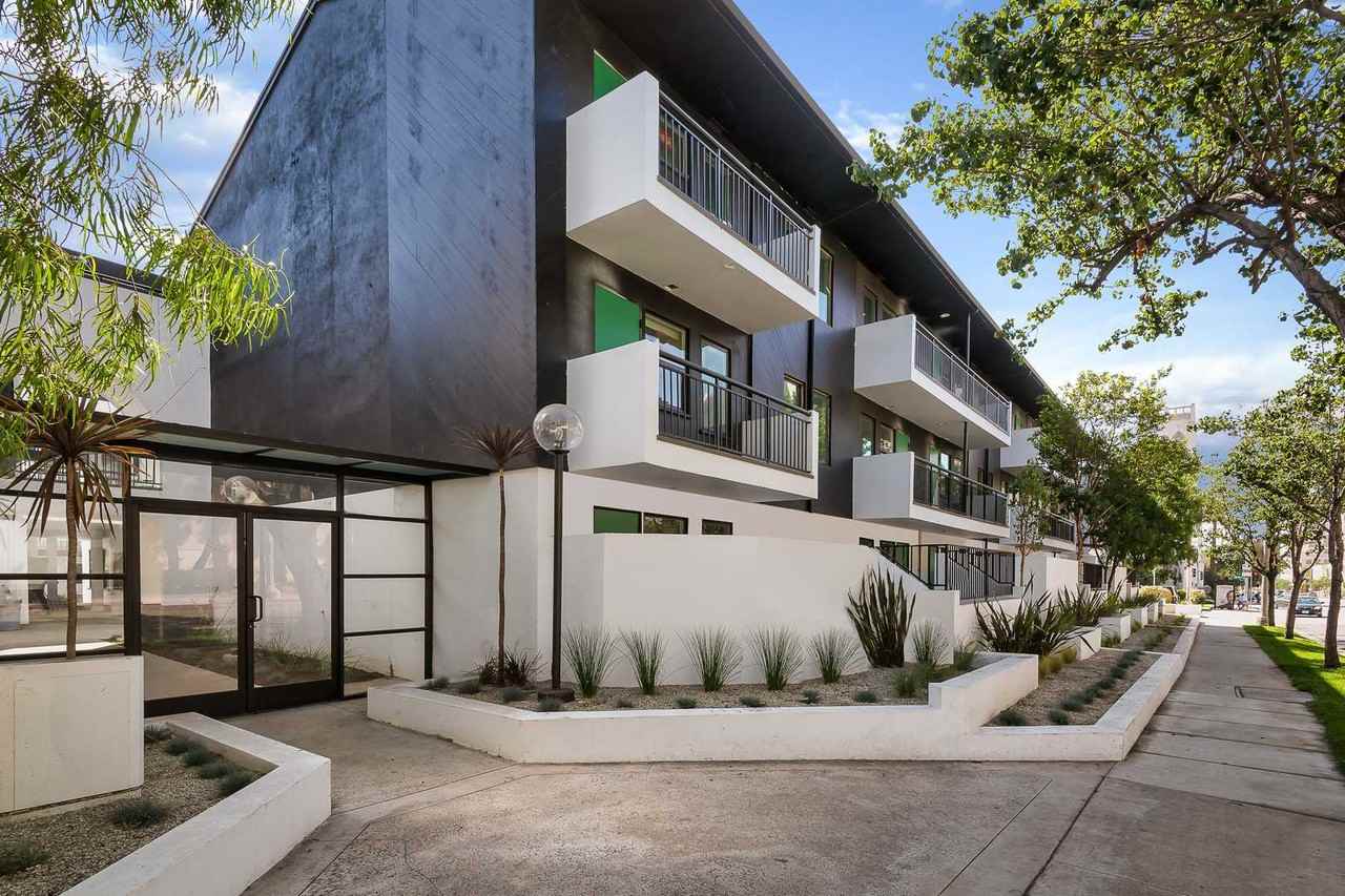 Thistle - Photo 4 of 46