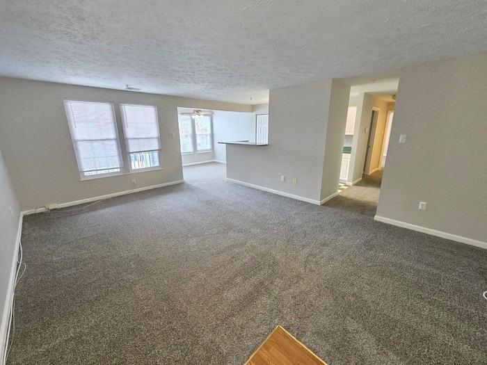 8399 Cypress Mill Rd #8399 - Photo 3 of 23