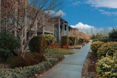 Verandas Apartments - Photo 1 of 1