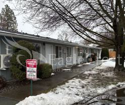 1040PUFF - Photo 1 of 1