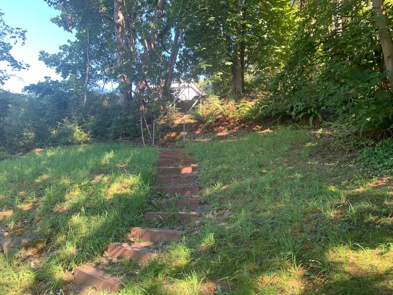 1013 Jersey St - Photo 3 of 25