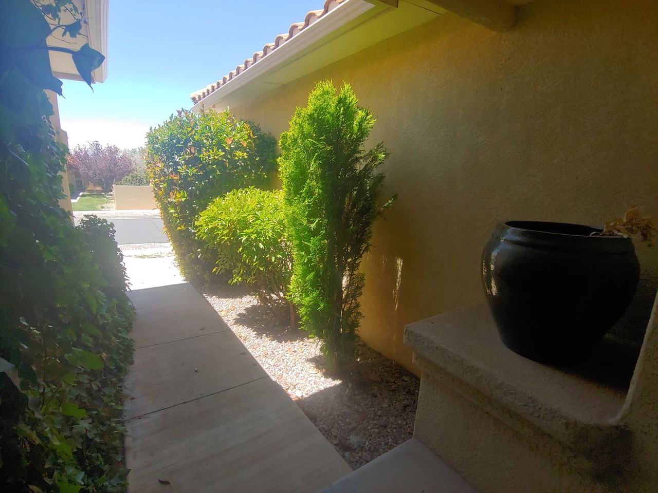 1240 Setter Dr Ne - Photo 4 of 17