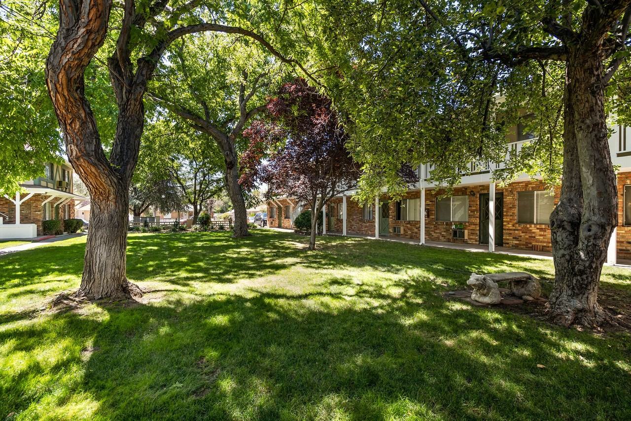 Royal Oak Apartments - Photo 5 of 16