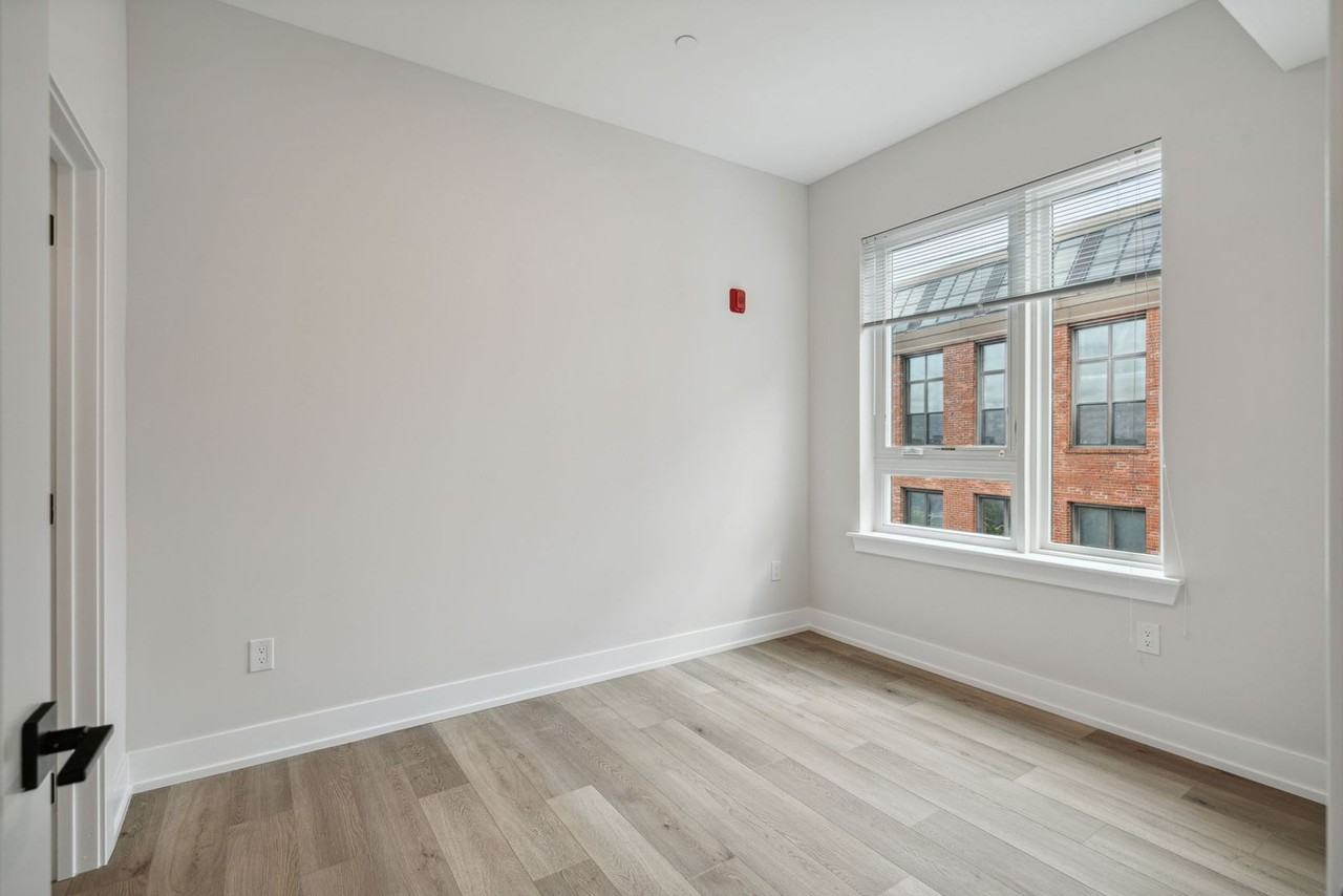 The Dally - Photo 5 of 50