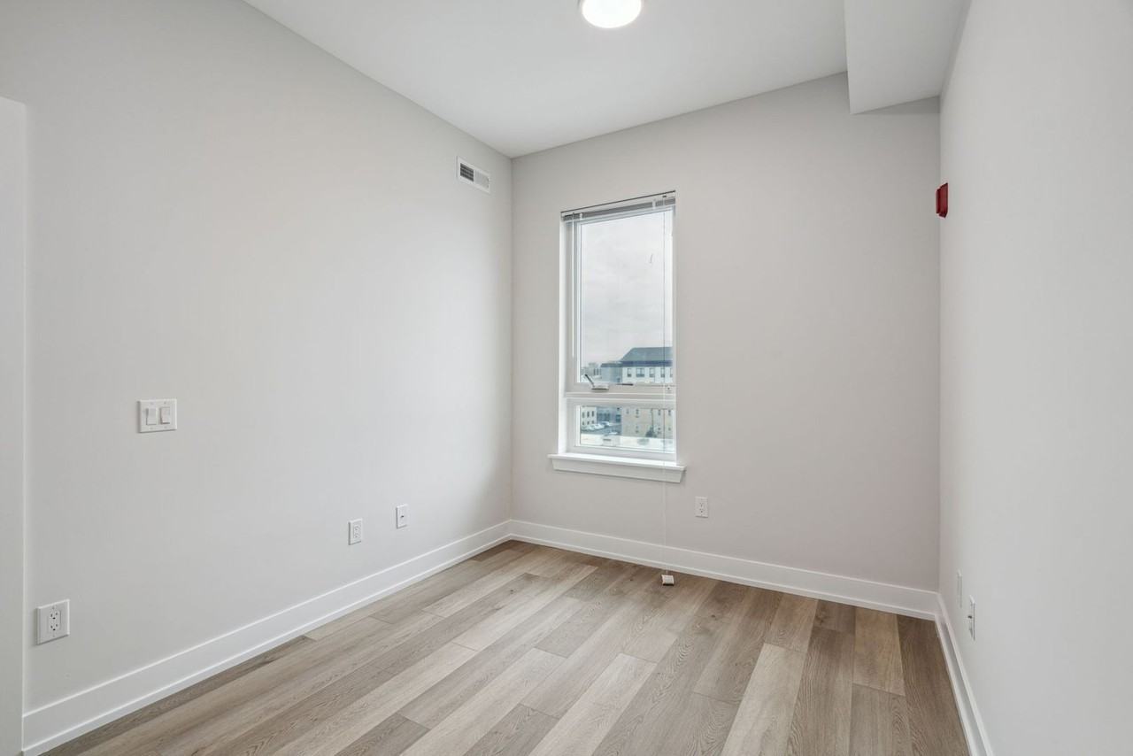 The Dally - Photo 7 of 50