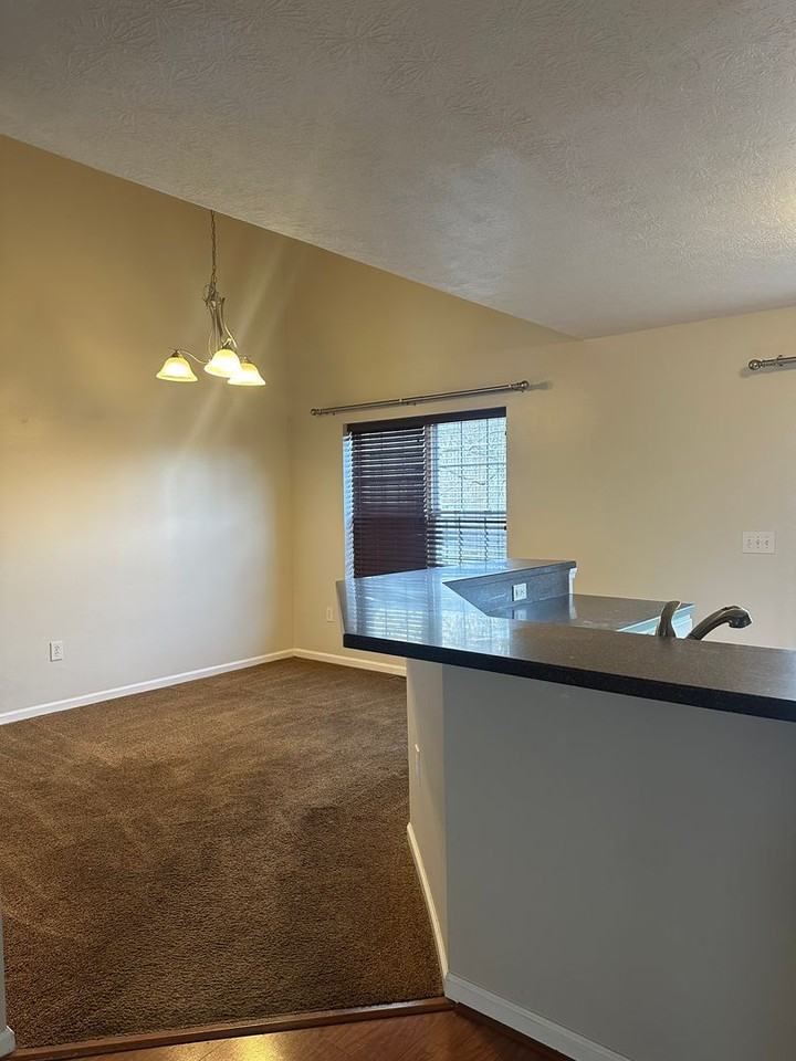 7411 Cayman Ln - Photo 3 of 15