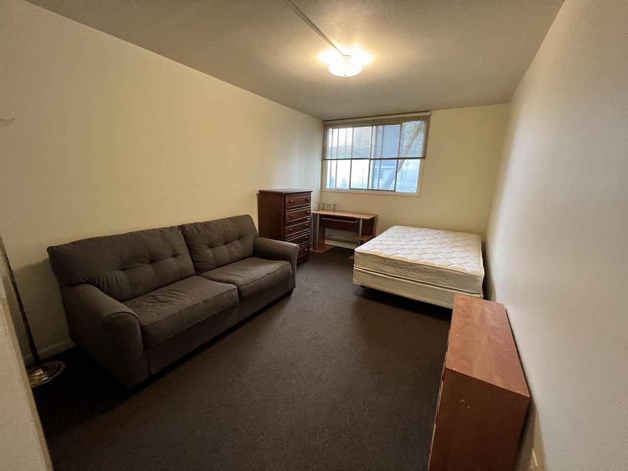 311 Eddy Street - Photo 7 of 50