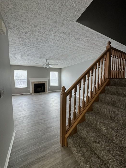 786 Manchester Ct - Photo 3 of 23