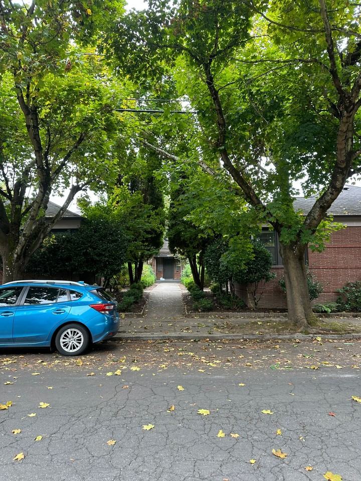 SLee01 - Halsey - Photo 3 of 3