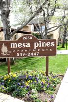Mesa Pines Apartments - Photo 1 of 1