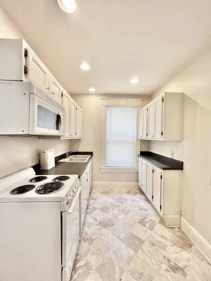 Rose - Photo 2 of 20