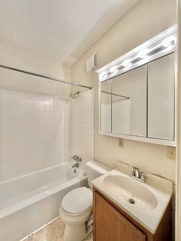 Rose - Photo 3 of 20