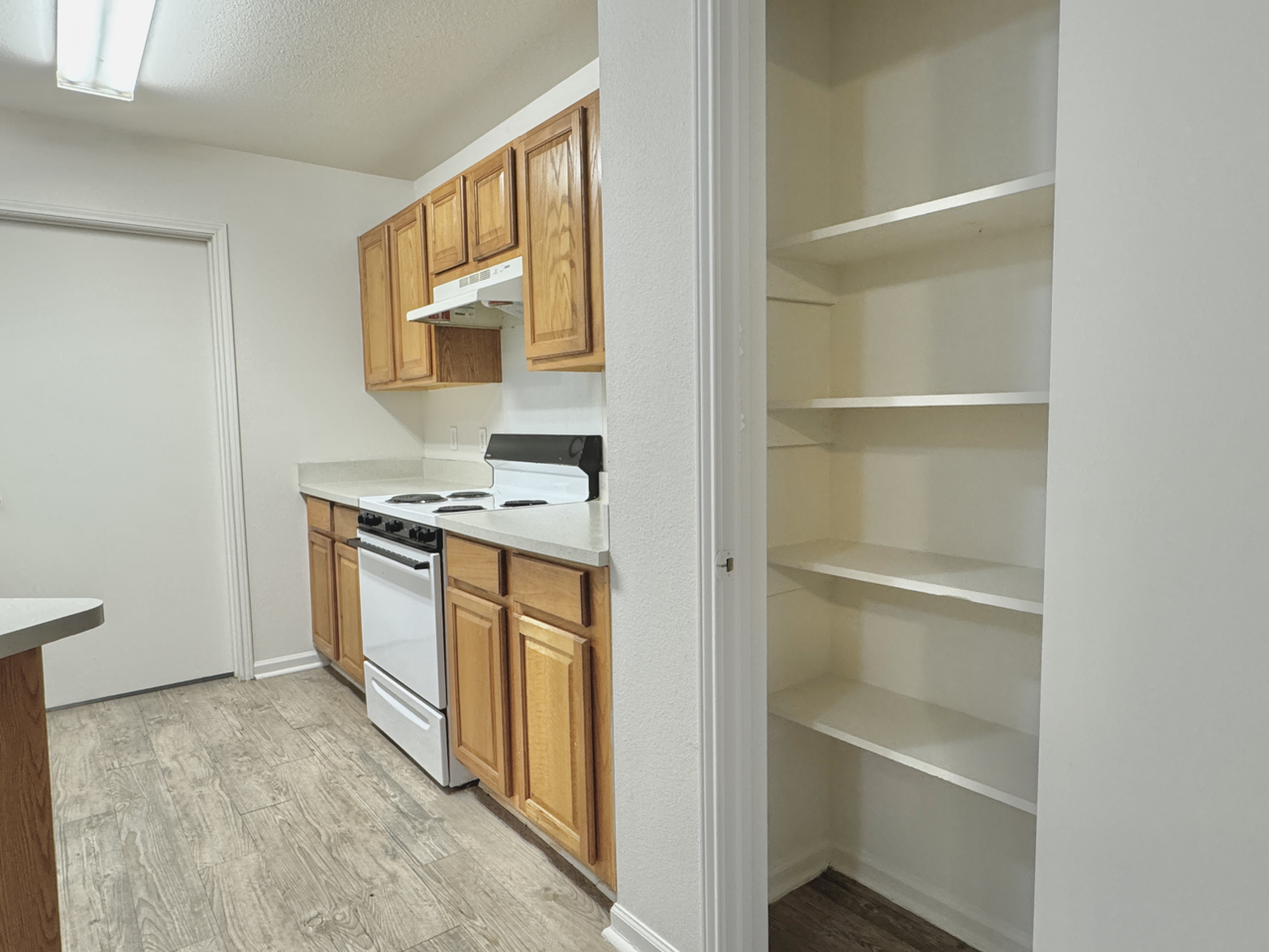 Spring Tree Apartments - Photo 7 of 18