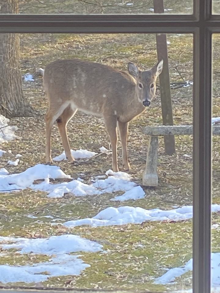 7800 Ann Harbor Dr #NA - Photo 2 of 19