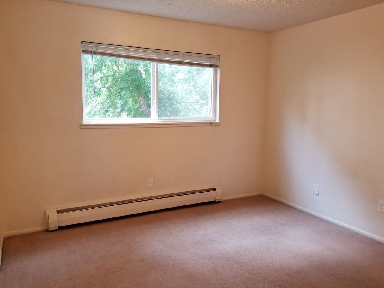 2200 Canyon - Photo 4 of 6