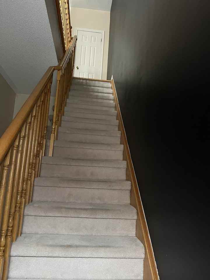 5 Philpott Gdns - Photo 2 of 17