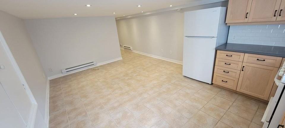 115 Montrose Avenue Basement - Photo 3 of 9