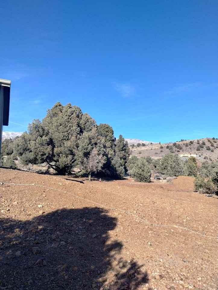 1531 Holbrook Bluffs Ct - Photo 2 of 31