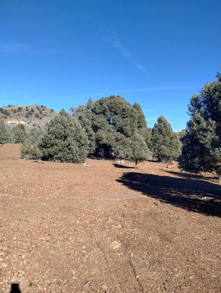 1531 Holbrook Bluffs Ct - Photo 3 of 31