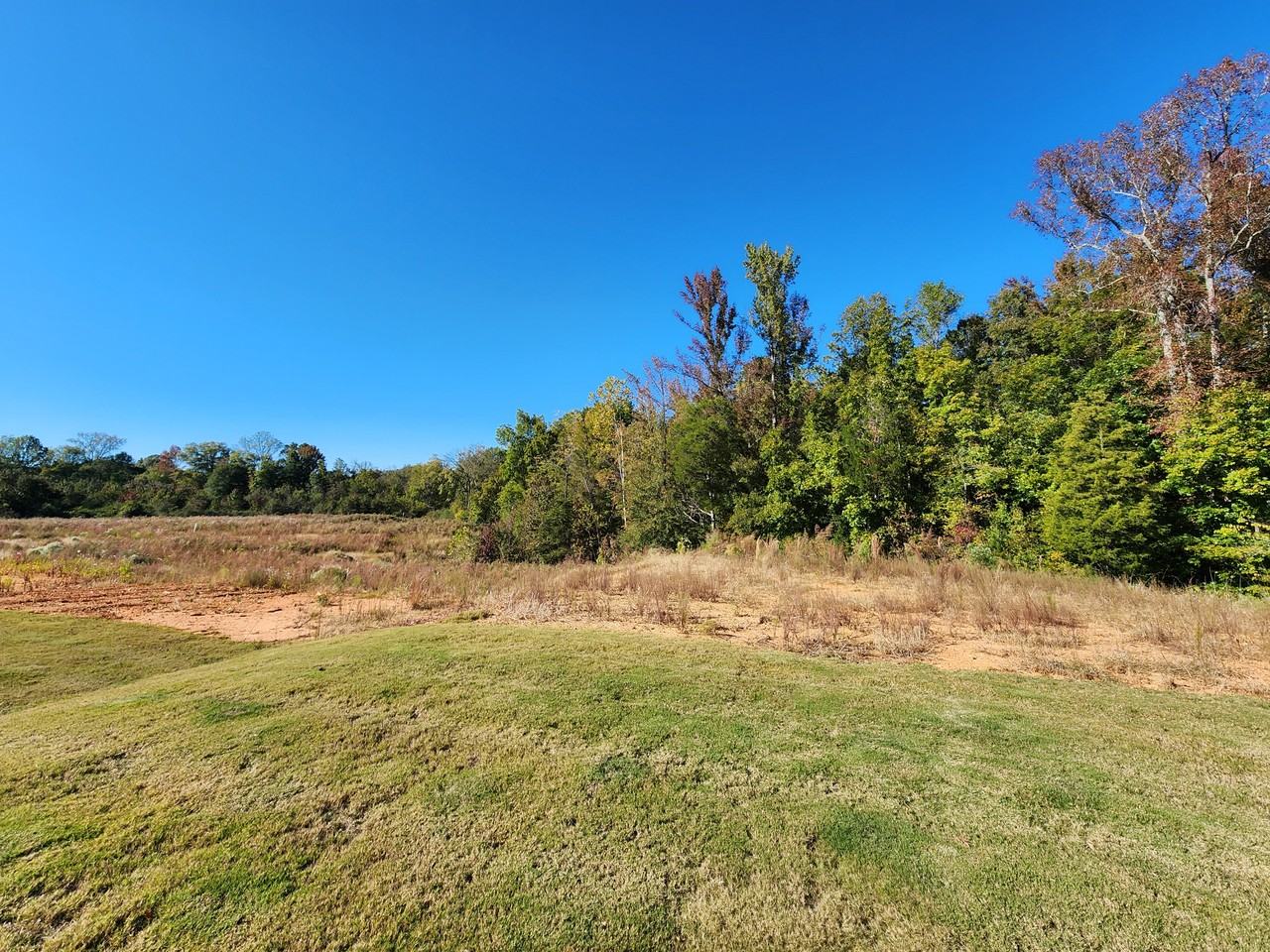 234 Damask Dr #NA - Photo 3 of 19