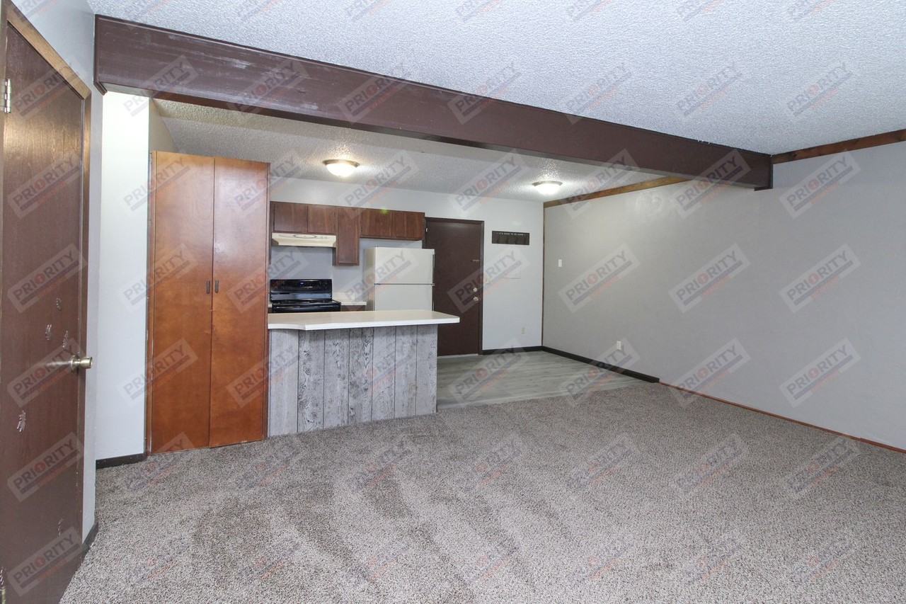 707 Vivian St - Photo 4 of 12