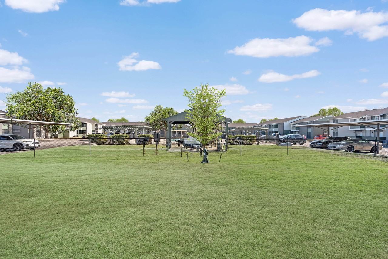 The Edge - Photo 4 of 50