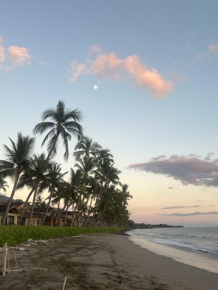 24 Puamelia Pl #1 - Photo 2 of 17