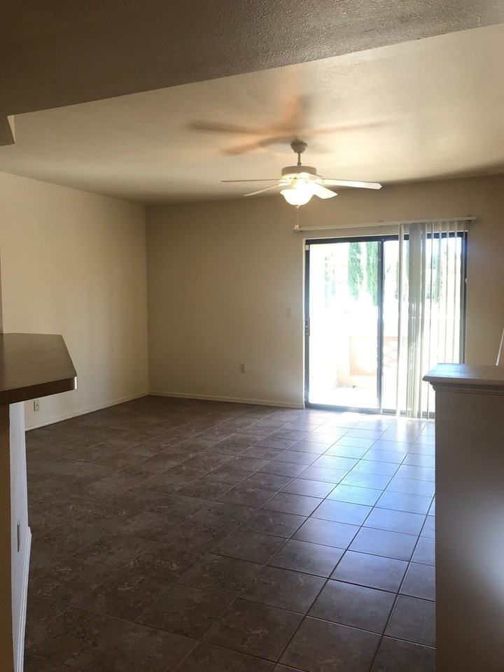 1151 N Roadrunner Pkwy - Photo 6 of 50