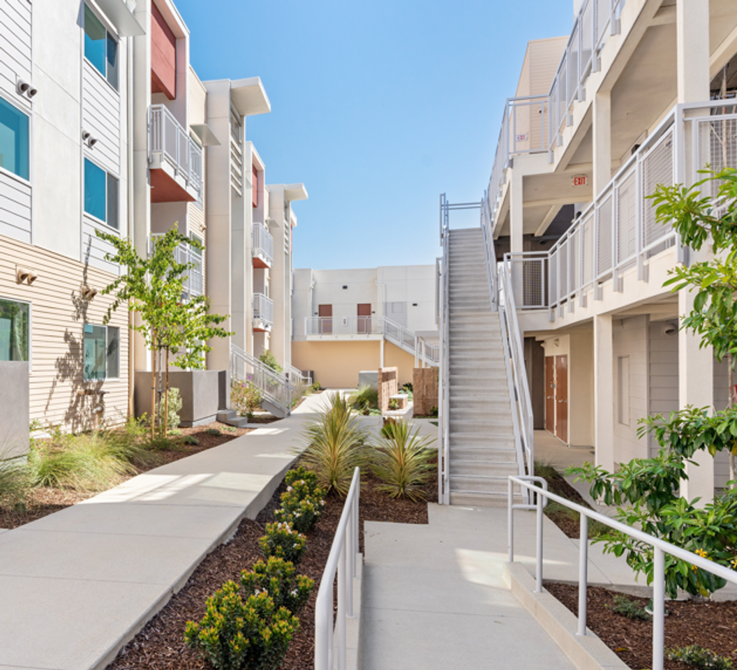 The Olive - Photo 3 of 3