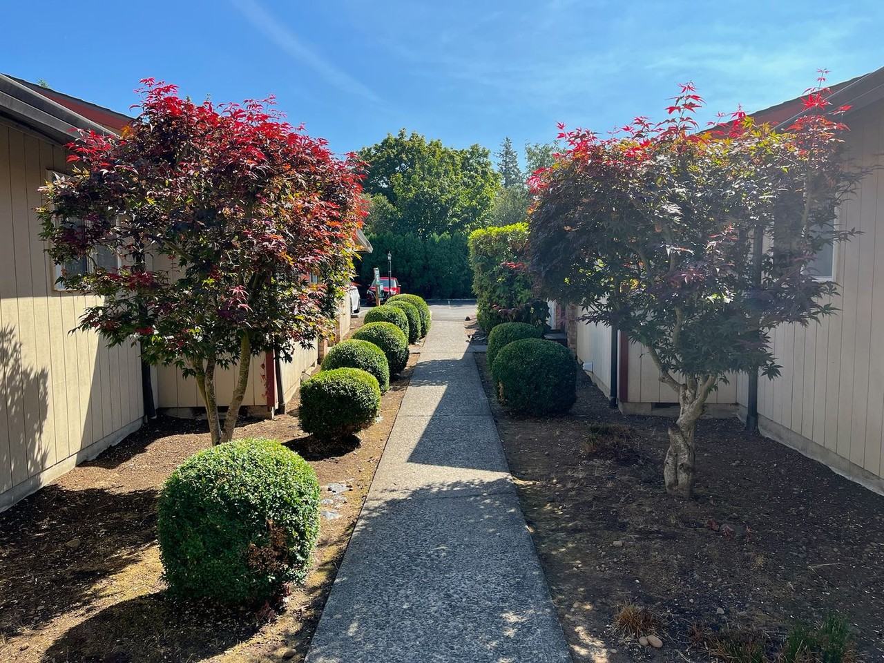 Evergreen Gardens - Photo 6 of 19