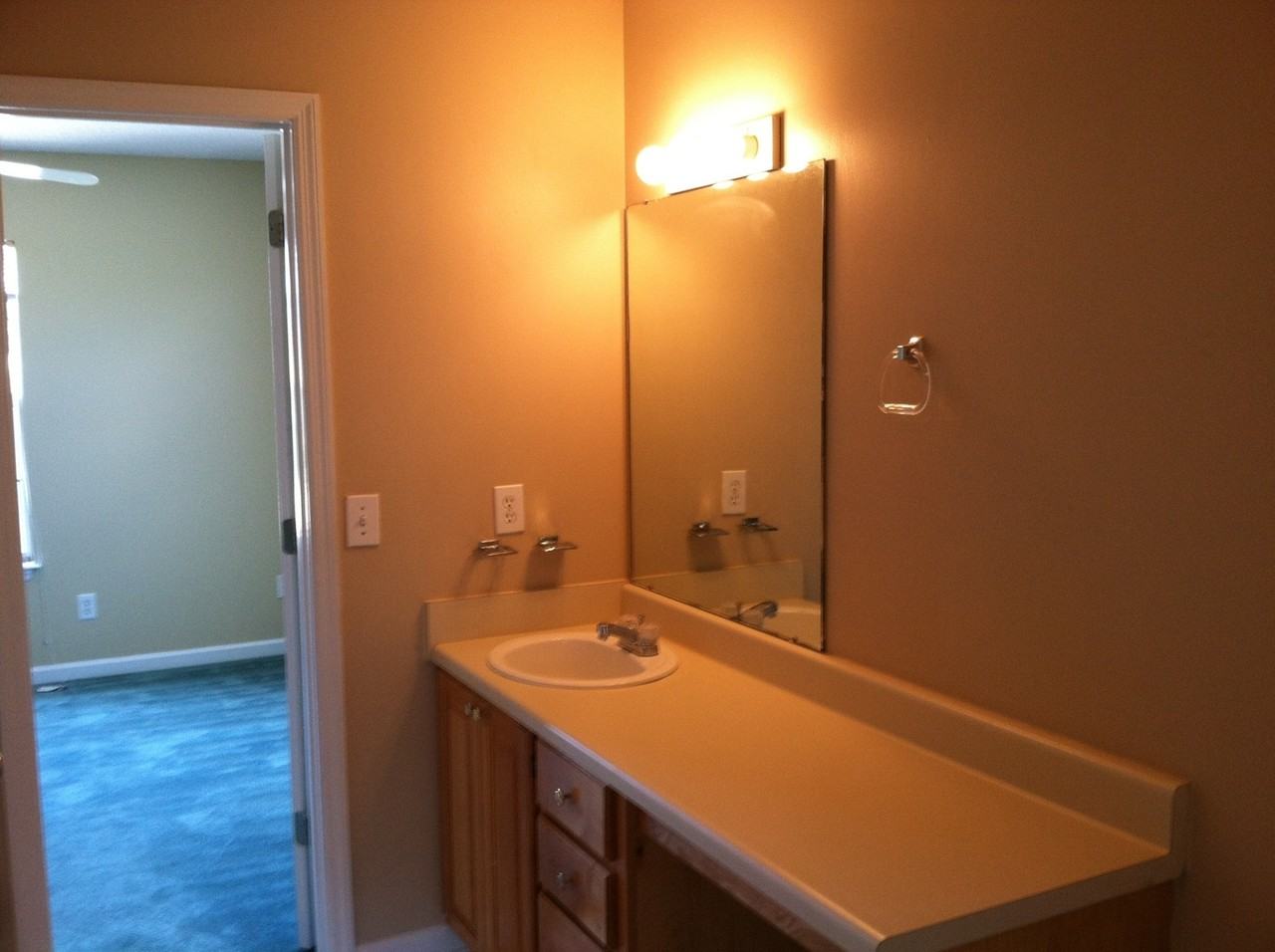 1243 Aubie Dr - Photo 5 of 6