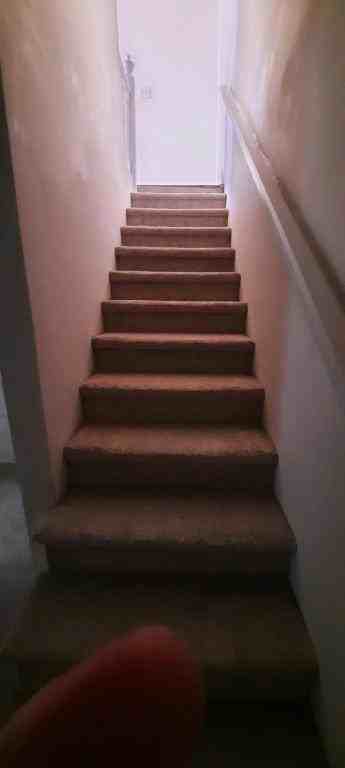 910 Charlotte Avenue - Photo 5 of 8