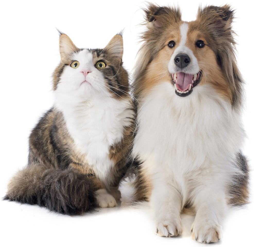 7037 Minor Rd - Photo 2 of 23