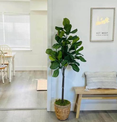 2604 Dauphin Street #202 - Photo 5 of 5