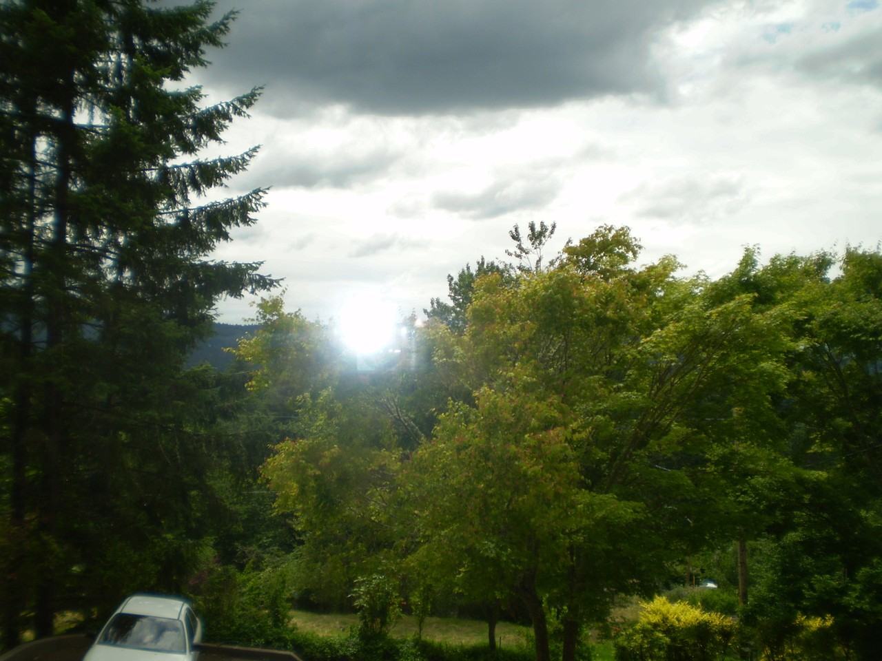 2781 Spring Blvd #A - Photo 3 of 20