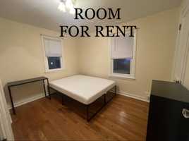 featured image of 449 Buckingham Ave #3