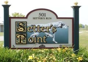 featured image of 501 Setters Run