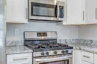 Pumpkin Circle - Photo 1 of 1