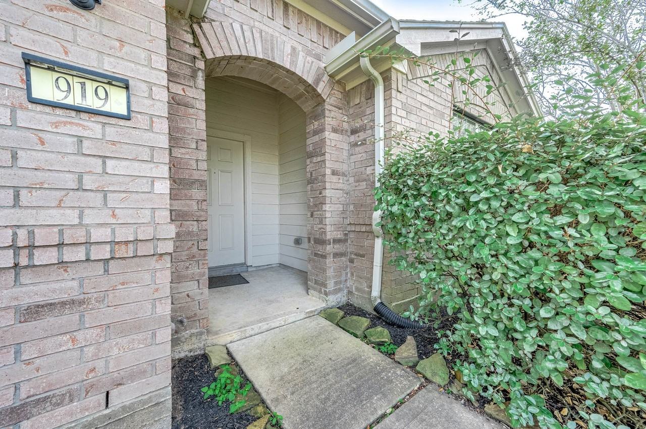 919 Butterfly Ln - Photo 4 of 28