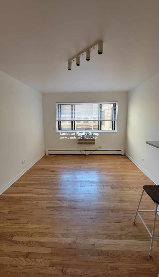 6972 N Sheridan Rd #409 - Photo 3 of 14