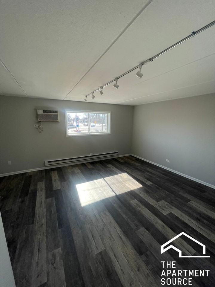 1128 Des Plaines Ave #204 - Photo 4 of 13