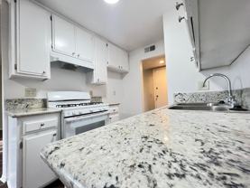 23901 Los Rosas Street - Photo 1 of 1