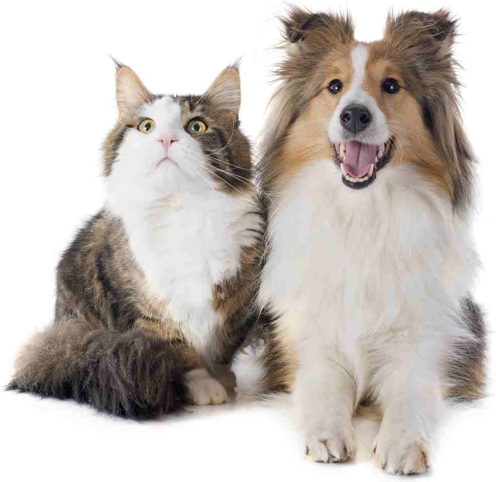 9104 Putteet Rd - Photo 7 of 23