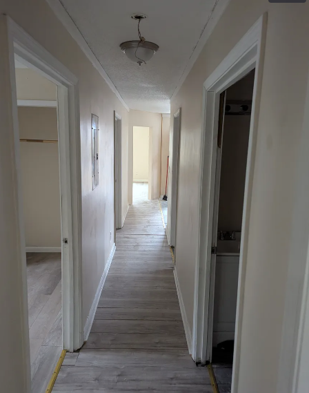 1041 Hall St - Photo 4 of 8