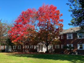 Riverfront Park Apartments - Photo 1 of 1