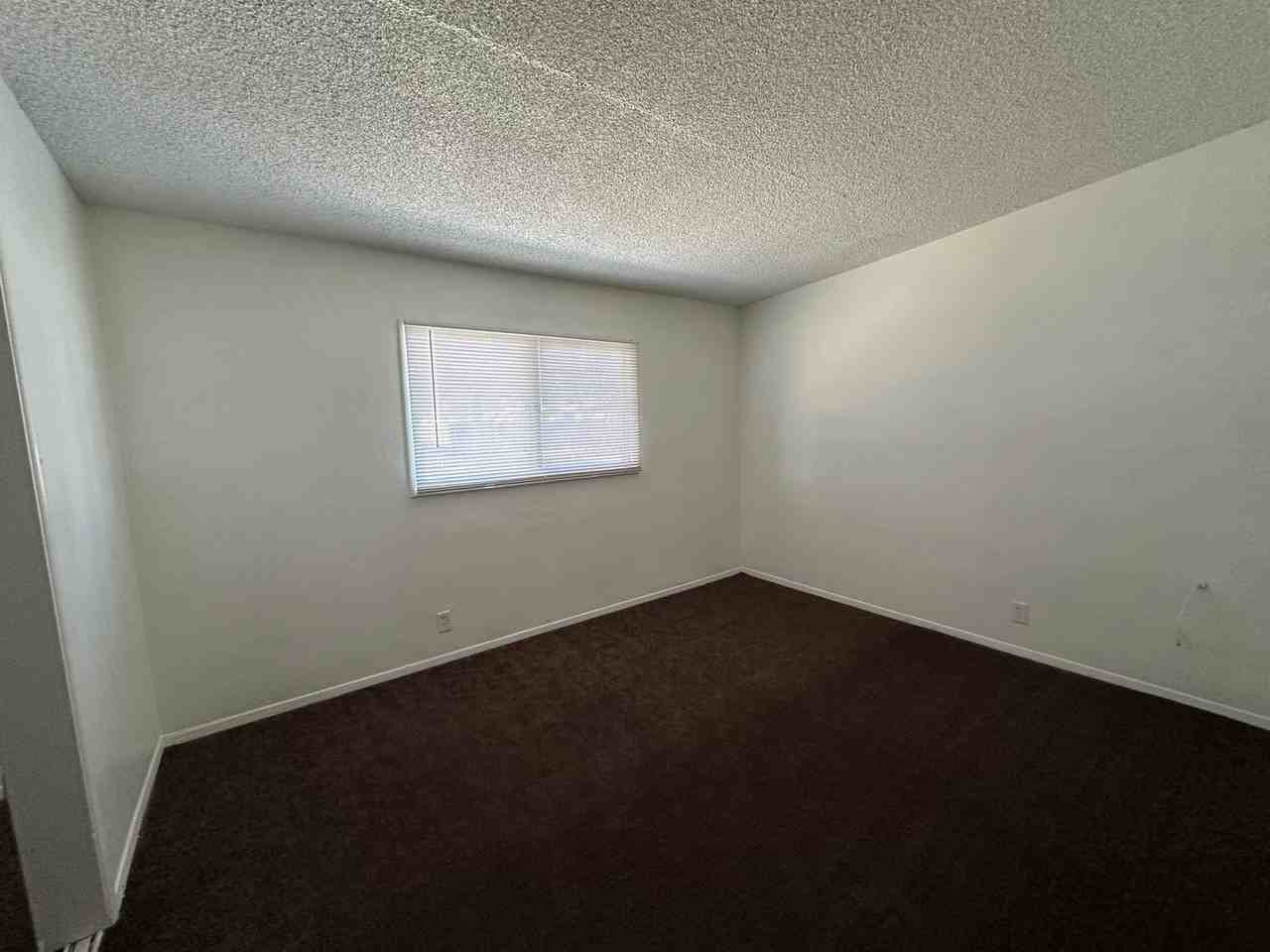 536 Oasis Dr - Photo 5 of 11