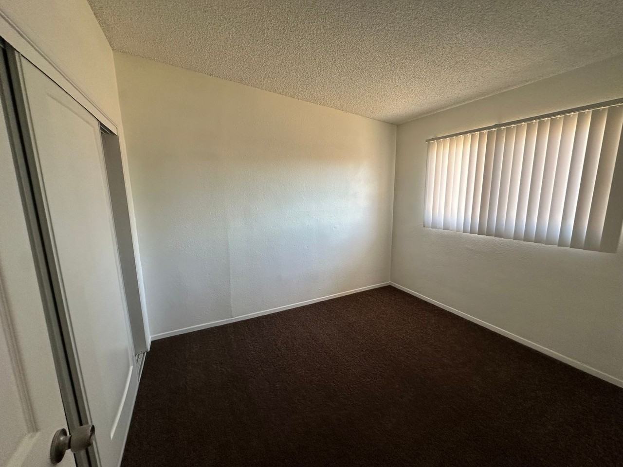 536 Oasis Dr - Photo 7 of 11